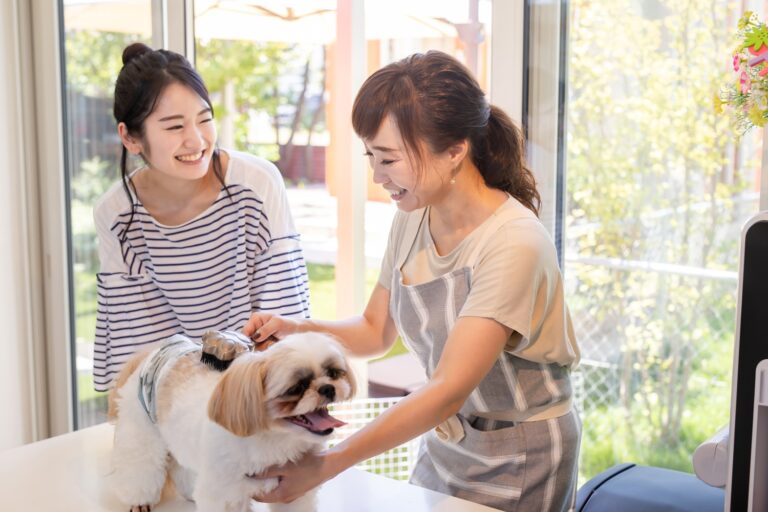 トリミングサロン内の音楽に低価格のサブスクでペットにリラックスを。